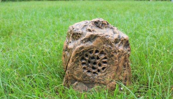 360截圖16200712579274.png 360截圖16200712579274.png